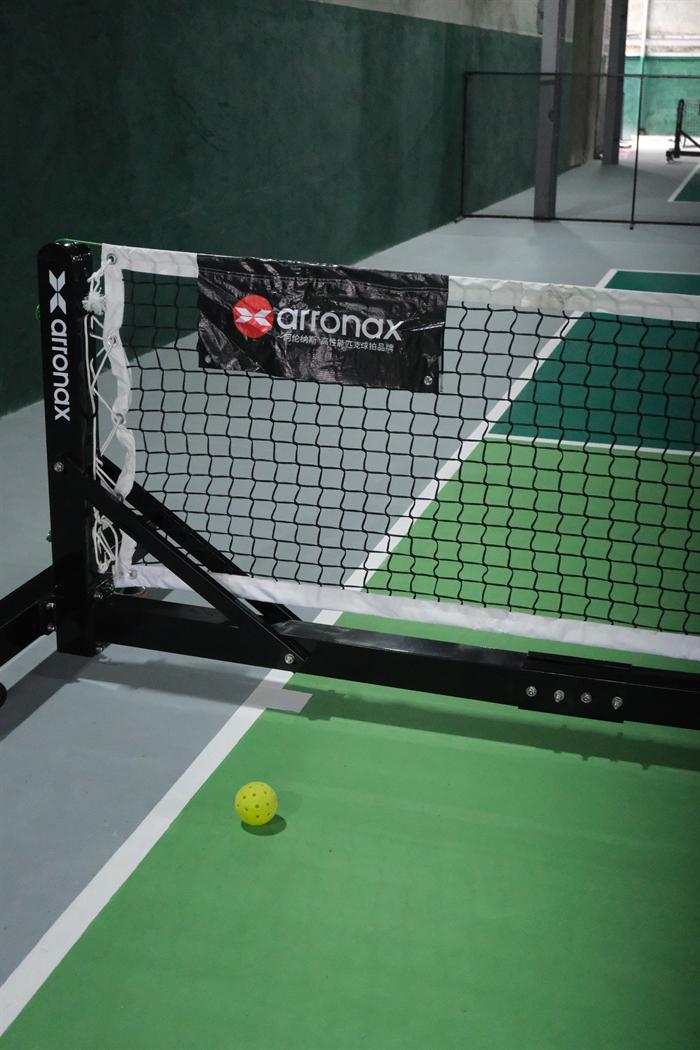 The net and a ball